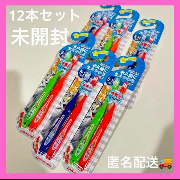 新品　6〜12歳　小学生　永久歯用歯ブラシ　12本セット　トムとジェリー　匿名