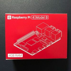 新品Raspberry Pi 4 Model B 4GB ケース付き