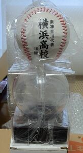 第100回全国高校野球選手権記念大会　横浜高校　ボールとケース