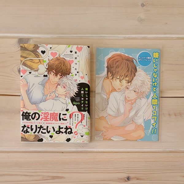 嫌いじゃないけど人間てコワイ!! アニメイト特典 リーフレット