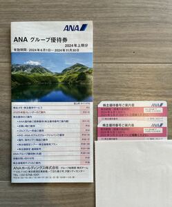 ANA 全日空 株主優待券 2枚 2024年6月1日から2025年5月31日まで