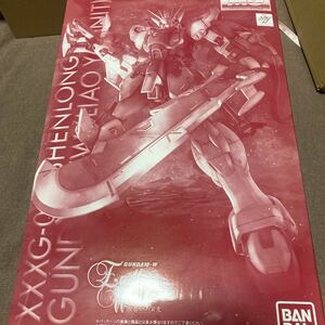 バンダイ (BANDAI) ＭＧ シェンロンガンダム ＥＷ （タウヤー装備） 1/100