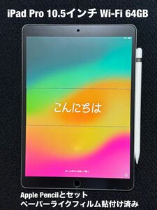 Apple iPad Pro 10.5インチ Wi-Fiモデル 64GB バッテリー87% + Apple Pencil第一世代