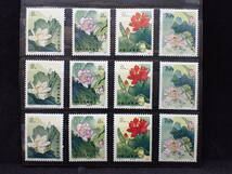 ◆希少◆中国切手　1980年　T54　蓮(ハス)の花　4種完3セット　未使用　バラ計12枚◆美品◆_画像1