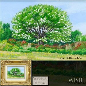 【真作】【WISH】菊地満「花咲く梨の木」油彩 SM 鮮やかなグリーン　　〇無所属 個展小田急他 阿佐ヶ谷美研修 #24052497