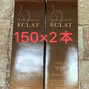 ヘアボーテ　エクラ エアカラーフォーム ダークブラウン 白髪用 フューチャーラボ　150ｇ×2本セット