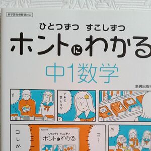 中１ 数学 ひとつずつ すこしずつ ホントにわかる 新学習指導要領対応 動画授業見放題 新興出版社 中学１年 問題集 USED 