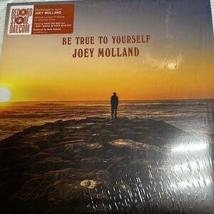 Joey Molland ex Bafinger Be True to Yourself 限定カラー盤レコード ビートルズ　バッドフィンガー　ジュリアン・レノン