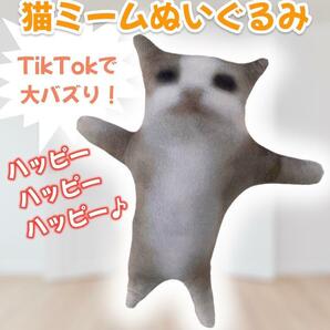 猫ミーム キャット ぬいぐるみ バナナ猫 ハッピー TikTok　HAPPY
