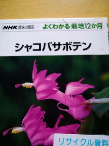 シャコバサボテン （ＮＨＫ趣味の園芸　よくわかる栽培１２か月） 浜田豊／著　図書館廃棄本