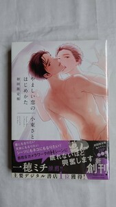 やましい恋のはじめかた 小冊子 付き 初回限定版 小東さと