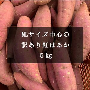 MLサイズ中心の訳あり紅はるか　5kg