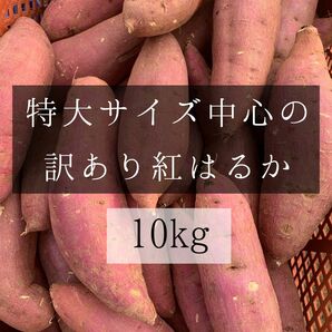 規格外サイズ中心の訳あり紅はるか　10kg