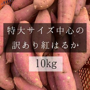 規格外サイズ中心の訳あり紅はるか　10kg