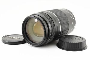 ★良品★ キャノン Canon EF 75-300mm F4-5.6 Ⅲ USM L517