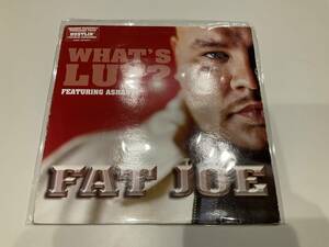 レコード LP FAT JOE(ファット・ジョー)/WHAT’S LUV? 【F-2】