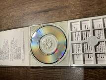 CDシングル　アナーキー・イン・AK Arakawa Rap Brothers 8cmシングルCD_画像3