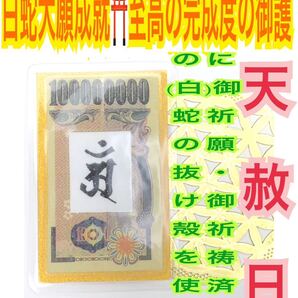 白蛇の抜け殻 梵字 種字 悉曇文字 アン 脱け殻 辰 巳 12干支 本尊 種札 普賢菩薩 メモリーオイル 白蛇のお守り【天赦日ご祈祷済み】財布 22