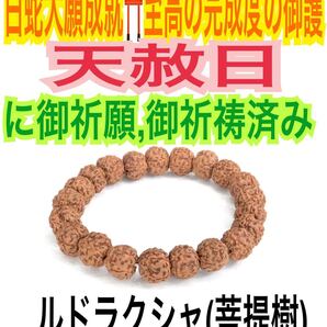 『13〜19サイズ の中から希望サイズを発送』ルドラクシャ 約8mm 5ムキ 菩提樹 ブレスレット 開運 腕輪お守り【天赦日ご祈祷済み】白蛇20