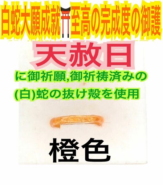 １個≪3号～27号 希望サイズ発送≫白蛇の指輪お守り【天赦日ご祈祷済み】御神環 第2チャクラ 脱け殻 メモリーオイル 白蛇の抜け殻 財布 23