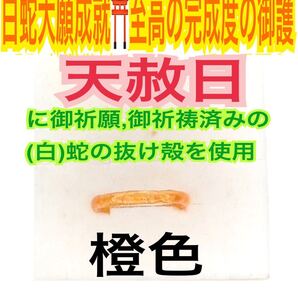 1個≪3号~27号 希望サイズ発送≫白蛇の指輪お守り【天赦日ご祈祷済み】御神環 第2チャクラ 脱け殻 メモリーオイル 白蛇の抜け殻 財布 23