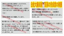 ストレスの緩和 健康運 第5チャクラ 白蛇のお守り【天赦日ご祈祷済み】白蛇の抜け殻 財布 メモリーオイル アベンチュリン ストラップ 21_画像7