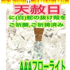 記憶力&集中力 受験のお守り 強力な白蛇のお守り【天赦日ご祈祷済み】白蛇の抜け殻 財布 メモリーオイル A3 フローライト ストラップ 21