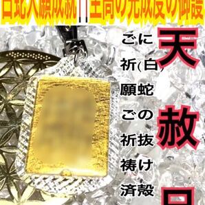 白蛇の抜け殻 キーホルダー サムハラ 厄祓い 魔除け 開運 神字 神代文字 カタカムナ メモリーオイル 白蛇のお守り【天赦日ご祈祷済み】24黒