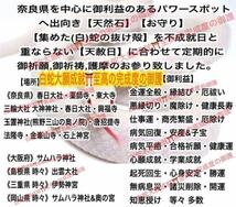 巳 ヘビ 十二干支 勝利 子宝 合格 チャーム メモリーオイル 第1チャクラ 白蛇の抜け殻 脱け殻 ガーネット 白蛇のお守り【天赦日ご祈祷】24_画像6