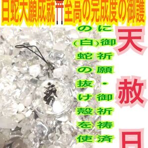 白蛇の抜け殻 梵字 酉 不動明王 チャーム 脱け殻 ストラップ メモリーオイル 厄祓い 守護 真言 白蛇のお守り【天赦日ご祈祷済み】財布 22