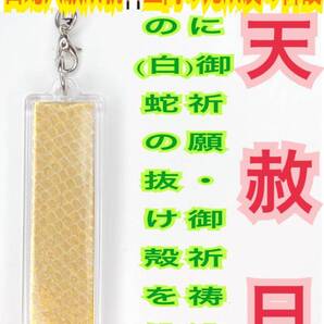 蛇の抜け殻 スティック 金色 縦長 脱け殻 白蛇のお守り チャーム ストラップ 脱け殻 メモリーオイル 御守り【天赦日ご祈祷済み】財布 32
