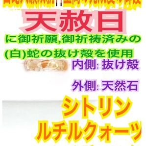 1個≪対応サイズ:3~27号≫指輪お守り【天赦日ご祈祷】シトリン ルチルクォーツ タイガーアイ メモリーオイル 御神環 白蛇の抜殻 財布 24