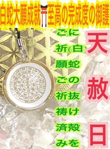 白蛇の抜け殻 龍体文字 フトマニ図 神字 脱け殻 カタカムナ ストラップ メモリーオイル 最強の白蛇のお守り【定期的ご祈祷済み】財布 23