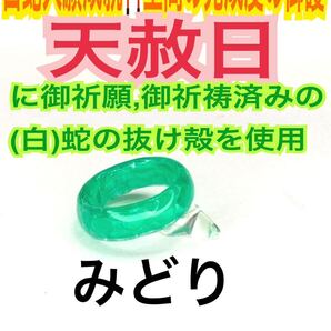 1個≪3号~27号 希望サイズ発送≫白蛇の指輪お守り【天赦日ご祈祷済】御神環 メモリーオイル 白蛇の抜け殻 リング 脱け殻 第4チャクラ 22