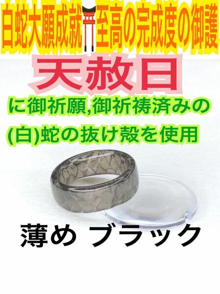 １個≪3号～27号 希望サイズ発送≫白蛇の指輪お守り【天赦日ご祈祷済】御神環 メモリーオイル 白蛇の抜け殻 リング 脱け殻 第0チャクラ 22