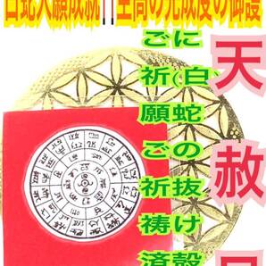 天赦日ご祈祷済み☆龍体文字 神字 フトマニ図 白蛇の抜け殻 脱け殻 奇跡を呼ぶ龍体文字 カタカムナ メモリーオイル 白蛇 の お守り 財布