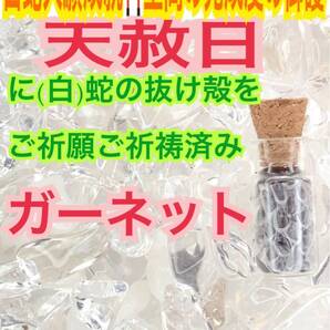 妊娠 勝利 子宝 合格 勝運 小瓶 白蛇のお守り【天赦日ご祈祷済み】白蛇の抜け殻 財布 メモリーオイル ガーネット 第1チャクラ 脱け殻 21 !