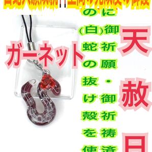 巳 ヘビ 十二干支 勝利 子宝 合格 チャーム メモリーオイル 第1チャクラ 白蛇の抜け殻 脱け殻 ガーネット 白蛇のお守り【天赦日ご祈祷】24