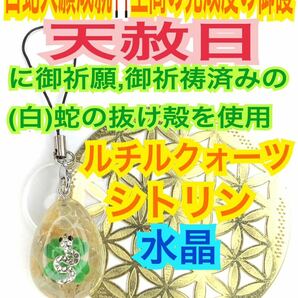 四つ葉クローバー 金運 チャーム 蛇の抜け殻 メモリーオイル 脱け殻 シトリン 第3チャクラ ルチルクォーツ 白蛇のお守り【天赦日ご祈祷】27