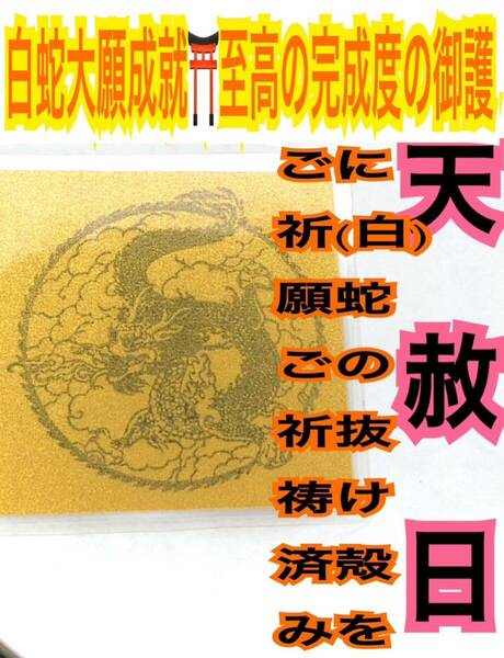 １枚 龍王 龍 竜 辰 12干支 龍神 リアル 脱け殻 メモリーオイル 白蛇の抜け殻 強力な白蛇のお守り【 天赦日ご祈祷済み】財布 合格 金運22