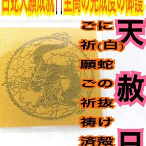 1枚 龍王 龍 竜 辰 12干支 龍神 リアル 脱け殻 メモリーオイル 白蛇の抜け殻 強力な白蛇のお守り【 天赦日ご祈祷済み】財布 合格 金運22