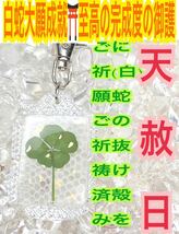 白蛇の抜け殻 本物 天然物 五つ葉のクローバー キーホルダー 脱け殻 メモリーオイル 財運 恋愛運 白蛇のお守り【天赦日ご祈祷済み】財布 23_画像1