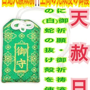 浄化 お祓い 開運神璽印 開運 神社で祓い清めた神塩 清め塩 盛り塩 メモリーオイル 白蛇の抜け殻 脱け殻 白蛇のお守り【天赦日ご祈祷済】30