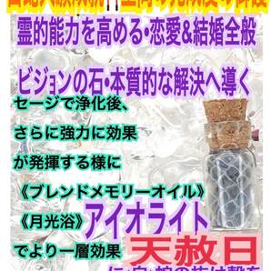 小瓶 恋愛&結婚全般 A4アイオライト 本質的な解決へ導く 白蛇 の お守り【天赦日ご祈祷済】白蛇の抜け殻 財布 メモリーオイル 第6チャクラ