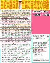 巳 ヘビ 十二干支 勝利 子宝 合格 チャーム メモリーオイル 第1チャクラ 白蛇の抜け殻 脱け殻 ガーネット 白蛇のお守り【天赦日ご祈祷】24_画像3