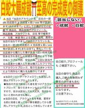 天赦日ご祈祷済み☆龍体文字 神字 フトマニ図 白蛇の抜け殻 脱け殻 奇跡を呼ぶ龍体文字 カタカムナ メモリーオイル 白蛇のお守り 財布 21_画像3