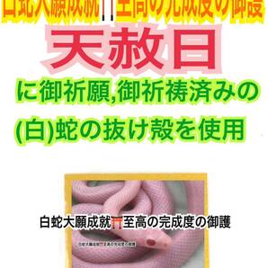 天赦日ご祈祷済み】脱け殻 赤目の白蛇様 赤ちゃん ベビー 白蛇の抜け殻 写真 フォント メモリーオイル 現像 強力な白蛇のお守り 財布 20