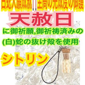 チャーム 臨時収入 白蛇のお守り 白蛇の抜け殻 財布 メモリーオイル 小瓶 高額当選 脱け殻 シトリン 第3チャクラ 【天赦日ご祈祷済み】20