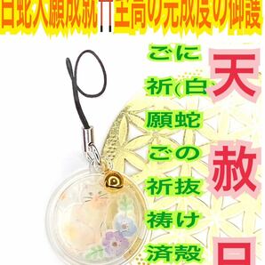 白蛇の抜け殻 脱け殻 福招鈴 キーホルダー 金箔 チャーム メモリーオイル 強力な白蛇のお守り【天赦日ご祈祷済み】財布 白猫 ネコ ねこ 24