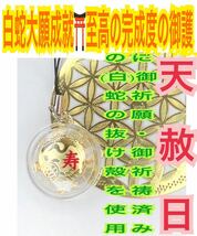 白蛇の抜け殻 脱け殻 亀 カメ 鶴 ツル ストラップ チャーム メモリーオイル 強力な白蛇のお守り【天赦日ご祈祷済み】財布 寿 開運 22_画像1